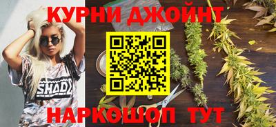 молекула духа Славянск-на-Кубани