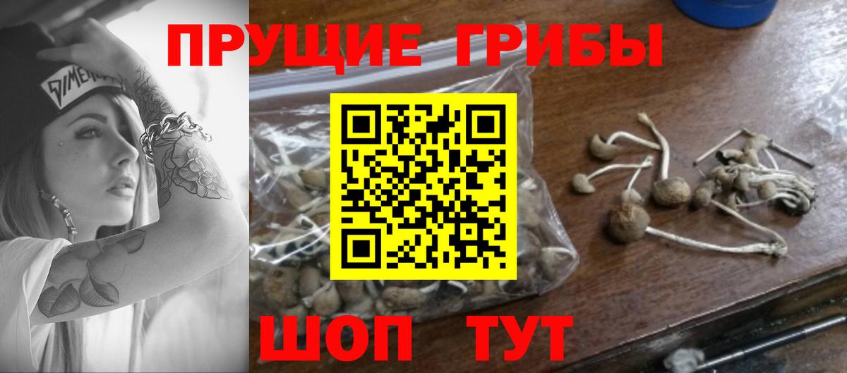 Галлюциногенные грибы MAGIC MUSHROOMS  Вход с VPN  Новый Уренгой  где продают   Псилоцибиновые грибы ЛСД 